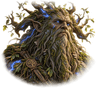 Canopy Giant